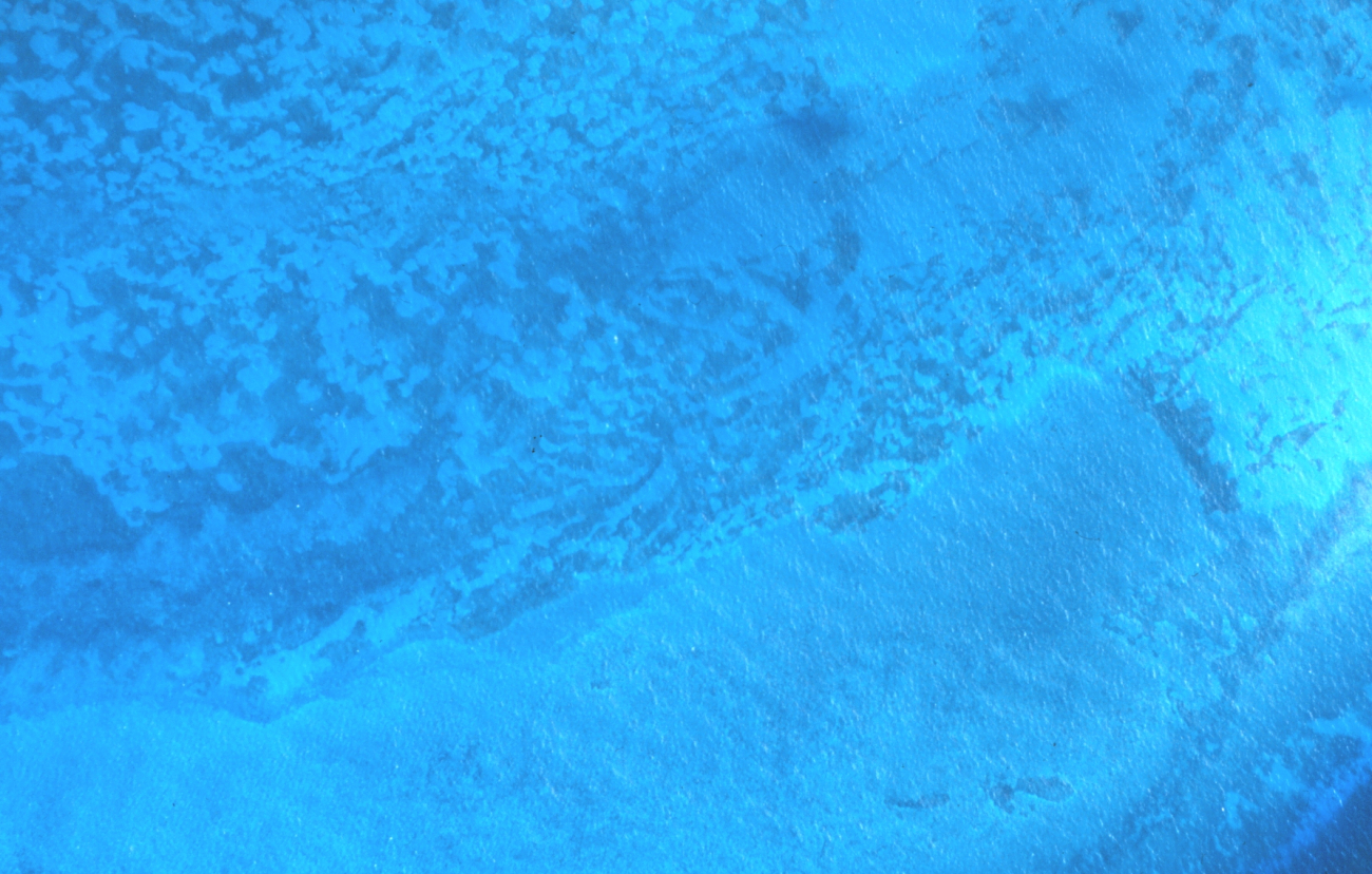 Aerial view of patterns in a coral reef