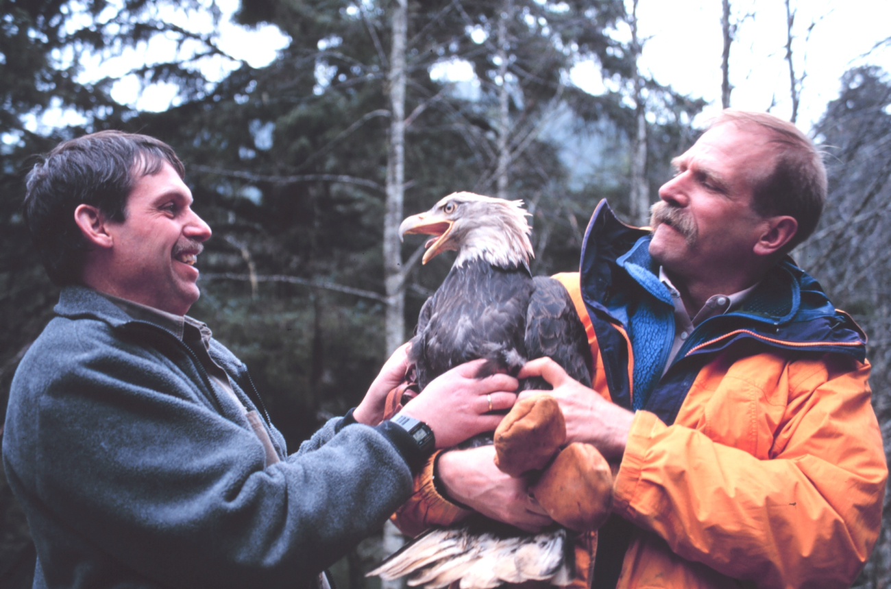 Rescuing waterfowl (Image credit: EXXON VALDEZ Oil Spill Trustee Council) Rescuing waterfowl