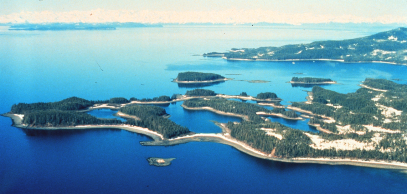 Labyrinthine island with unique appearance from air (Image credit: EXXON VALDEZ Oil Spill Trustee Council) Labyrinthine island with unique appearance from air