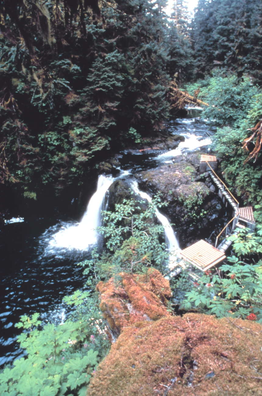 Appears to be a fish ladder bypassing a natural waterfall (Image credit: EXXON VALDEZ Oil Spill Trustee Council) Appears to be a fish ladder bypassing a natural waterfall