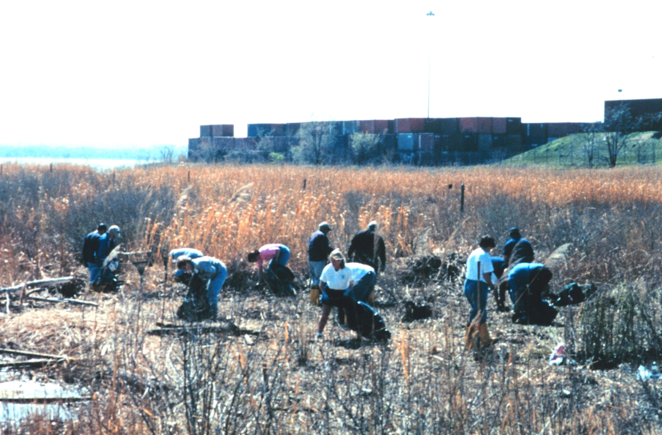 Volunteers helping clean up the wetlands and waterfront area around Fort McHenry in Baltimore Harbor (Image credit: Mary Hollinger) Volunteers helping clean up the wetlands and waterfront area around Fort McHenry in Baltimore Harbor
