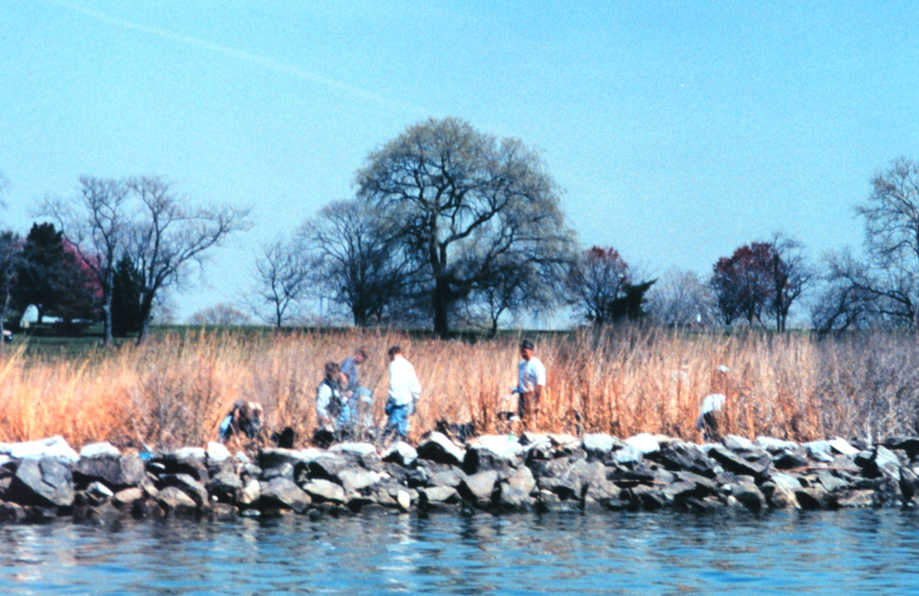 Volunteers helping clean up the wetlands and waterfront area around Fort McHenry in Baltimore Harbor (Image credit: Mary Hollinger) Volunteers helping clean up the wetlands and waterfront area around Fort McHenry in Baltimore Harbor