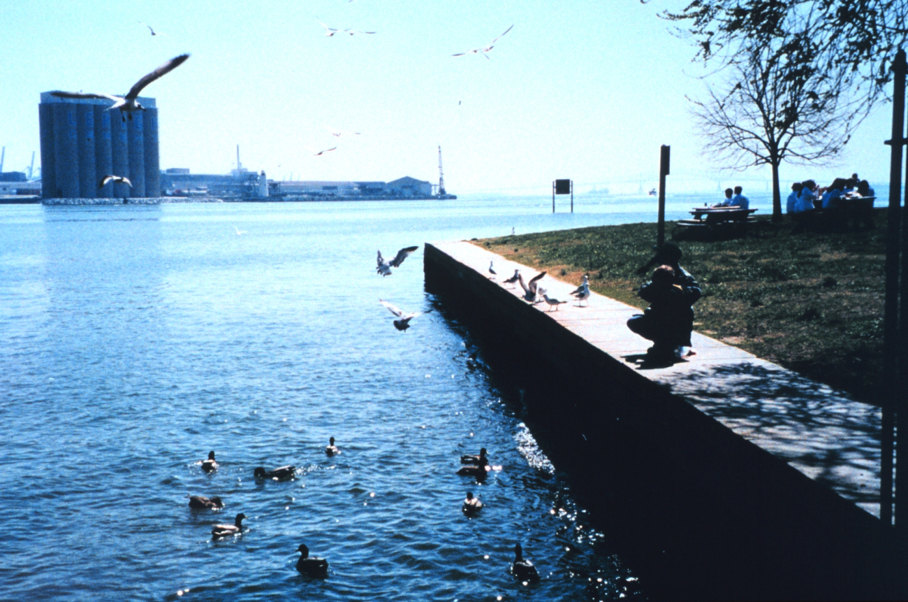 Volunteers helping clean up the wetlands and waterfront area around Fort McHenry in Baltimore Harbor (Image credit: Mary Hollinger) Volunteers helping clean up the wetlands and waterfront area around Fort McHenry in Baltimore Harbor