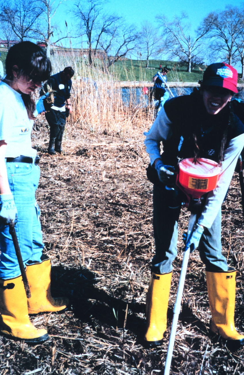 Volunteers helping clean up the wetlands and waterfront area around Fort McHenry in Baltimore Harbor (Image credit: Mary Hollinger) Volunteers helping clean up the wetlands and waterfront area around Fort McHenry in Baltimore Harbor