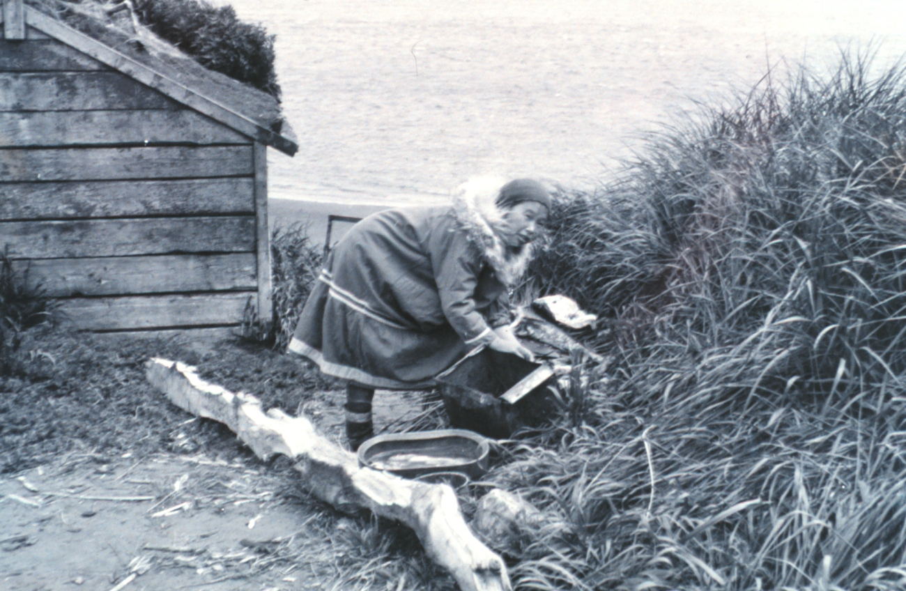 Eskimo woman stringing fish to dry (Image credit: National Marine Fisheries Service | Dr. Ira N. Gabrielson) Eskimo woman stringing fish to dry