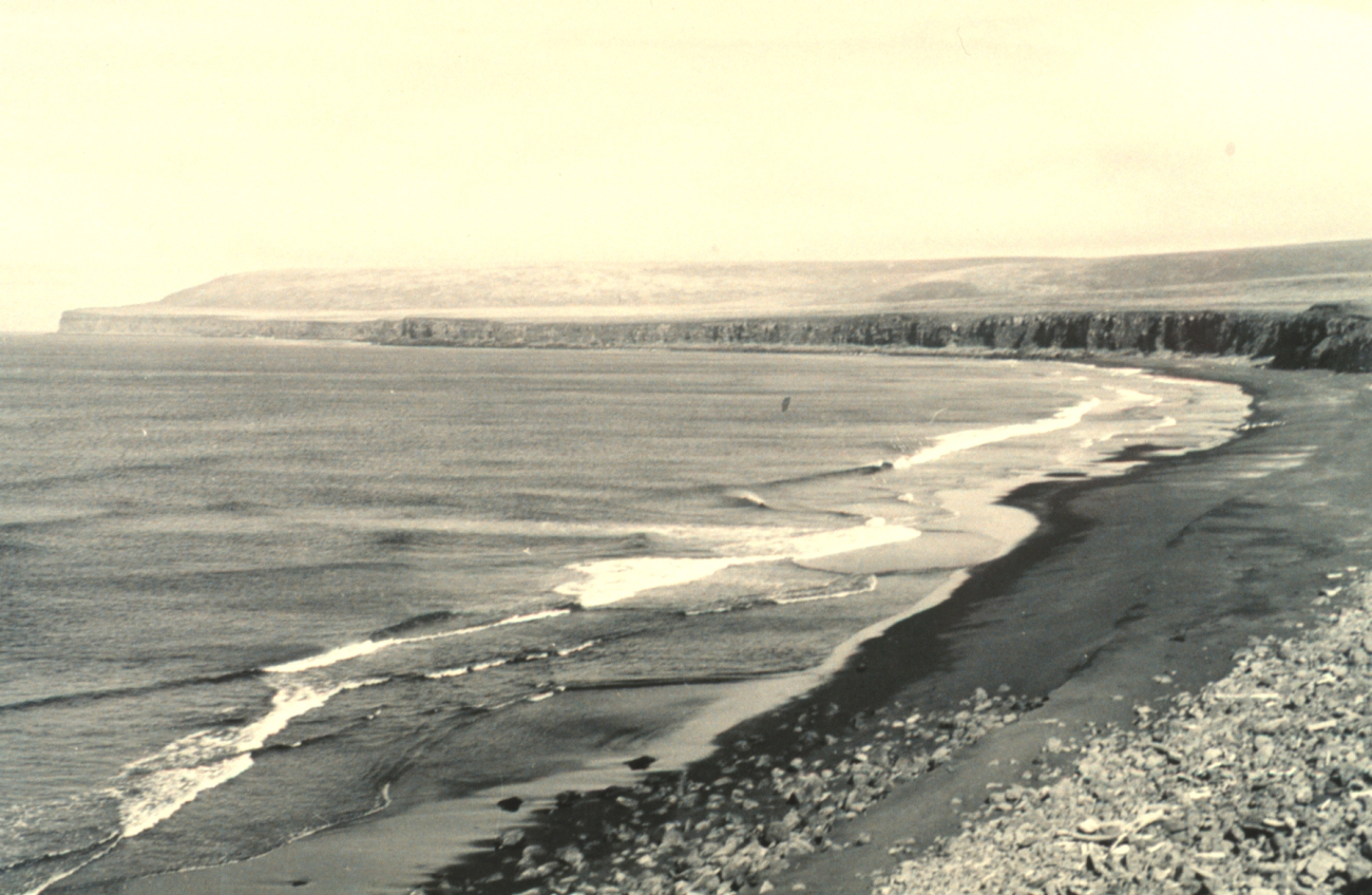 Looking toward Tolstoi Rookery on St (Image credit: National Marine Fisheries Service) Looking toward Tolstoi Rookery on St