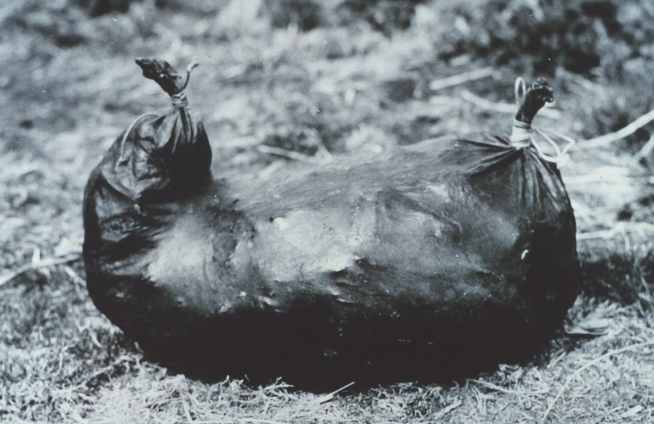 Stomach of a Sea Lion (Eumetopias jubata) used by Aleut natives for storingdried red salmon (Image credit: National Marine Fisheries Service) Stomach of a Sea Lion (Eumetopias jubata) used by Aleut natives for storingdried red salmon