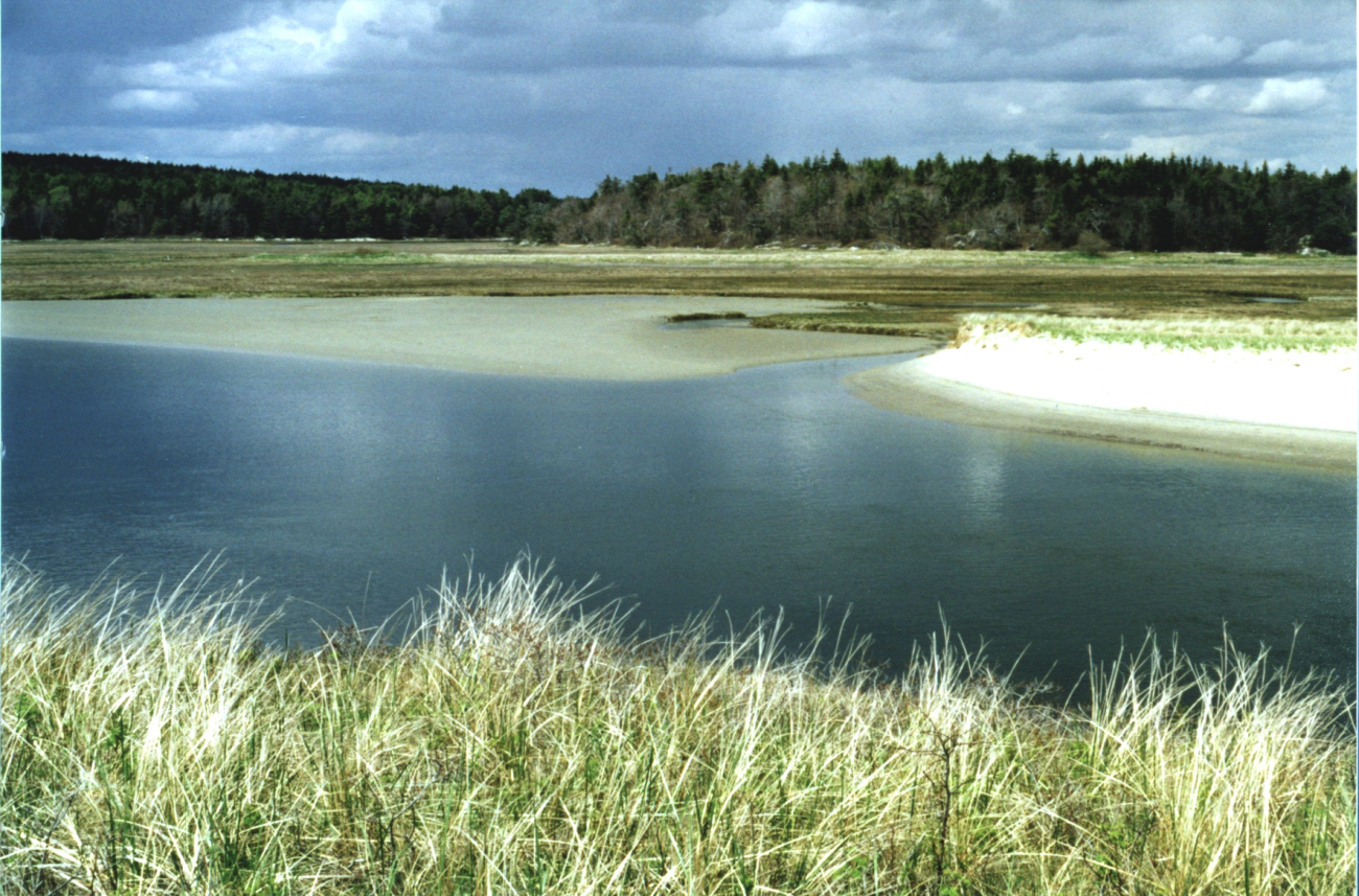 Morse River Inlet showing tidal marsh showing prograding of the barrier spit (Image credit: Mr. David Sinson) Morse River Inlet showing tidal marsh showing prograding of the barrier spit