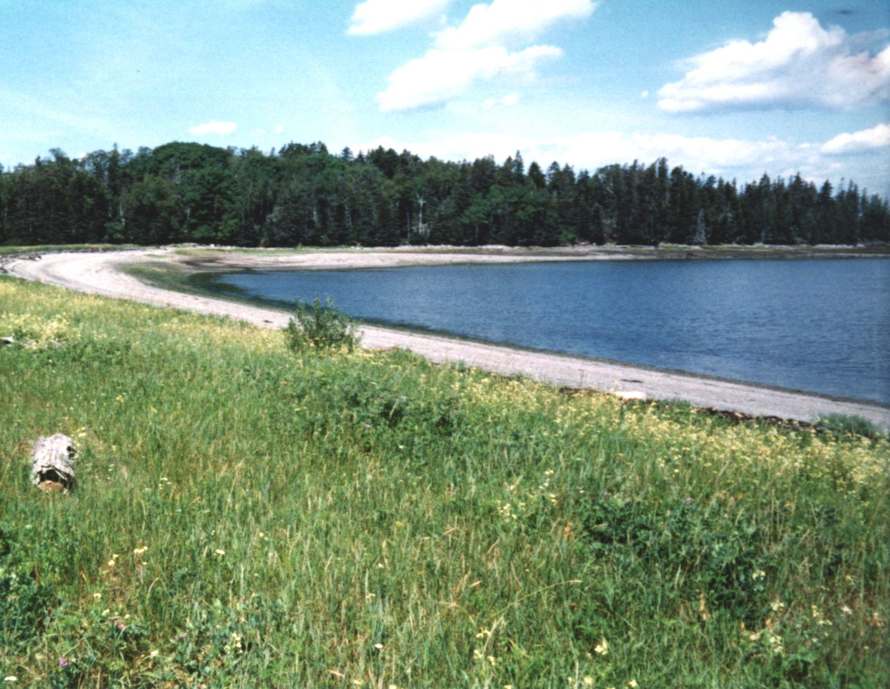 Philbrook Cove on 700 Acre Island (Image credit: Mr. David Sinson) Philbrook Cove on 700 Acre Island