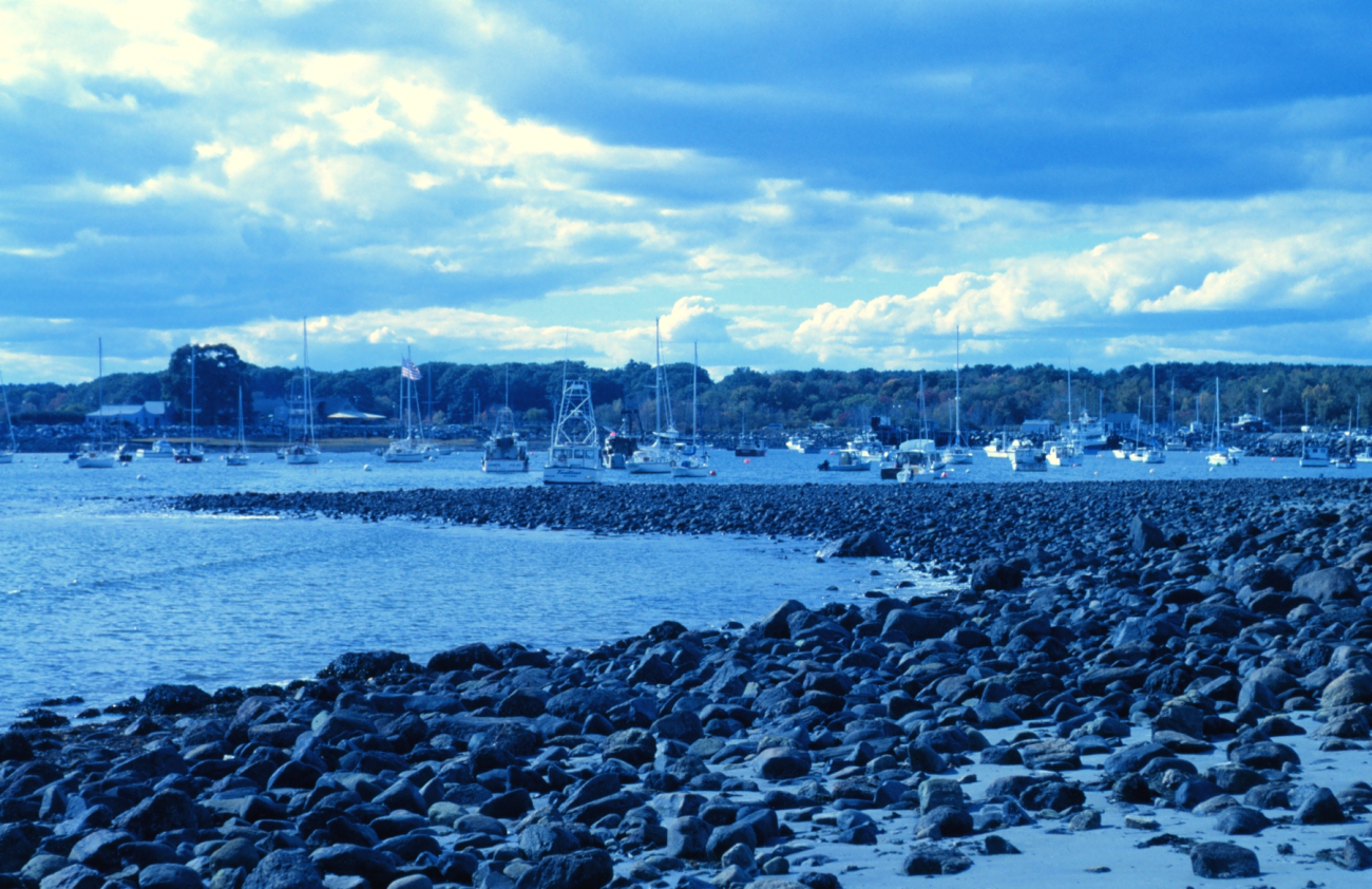 Cobble beach at Odiorne Point State Park (Image credit: Mr. Sean Linehan) Cobble beach at Odiorne Point State Park