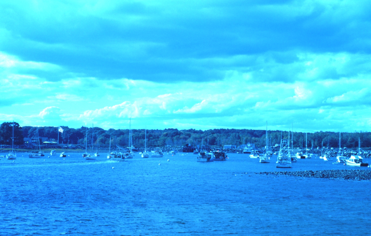 A view of the harbor at Odiorne Point State Park (Image credit: Mr. Sean Linehan) A view of the harbor at Odiorne Point State Park