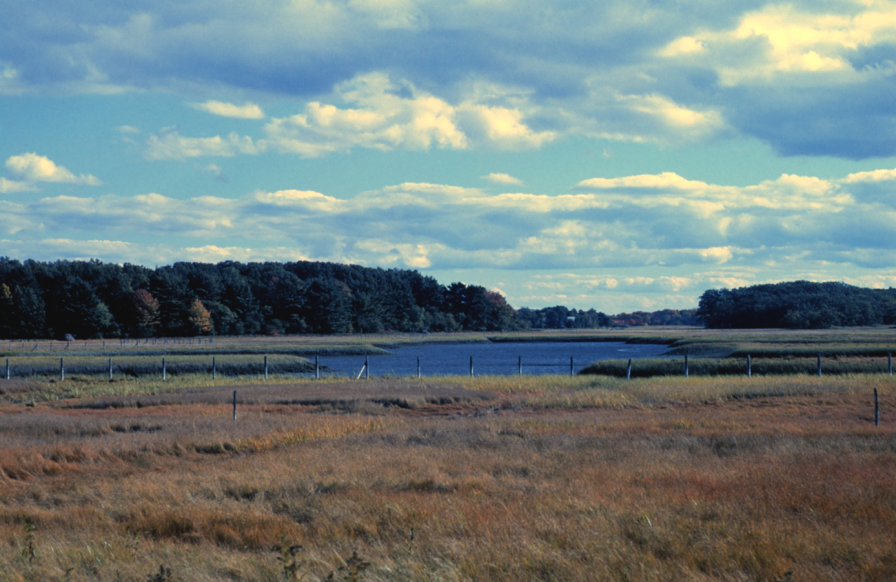 A view of wetlands at Great Bay National Estuarine Research Reserve (Image credit: Mr. Sean Linehan) A view of wetlands at Great Bay National Estuarine Research Reserve