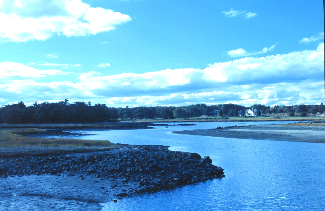 Part of the tidal stream pattern at Great Bay National Estuarine ResearchReserve (Image credit: Mr. Sean Linehan) Part of the tidal stream pattern at Great Bay National Estuarine ResearchReserve