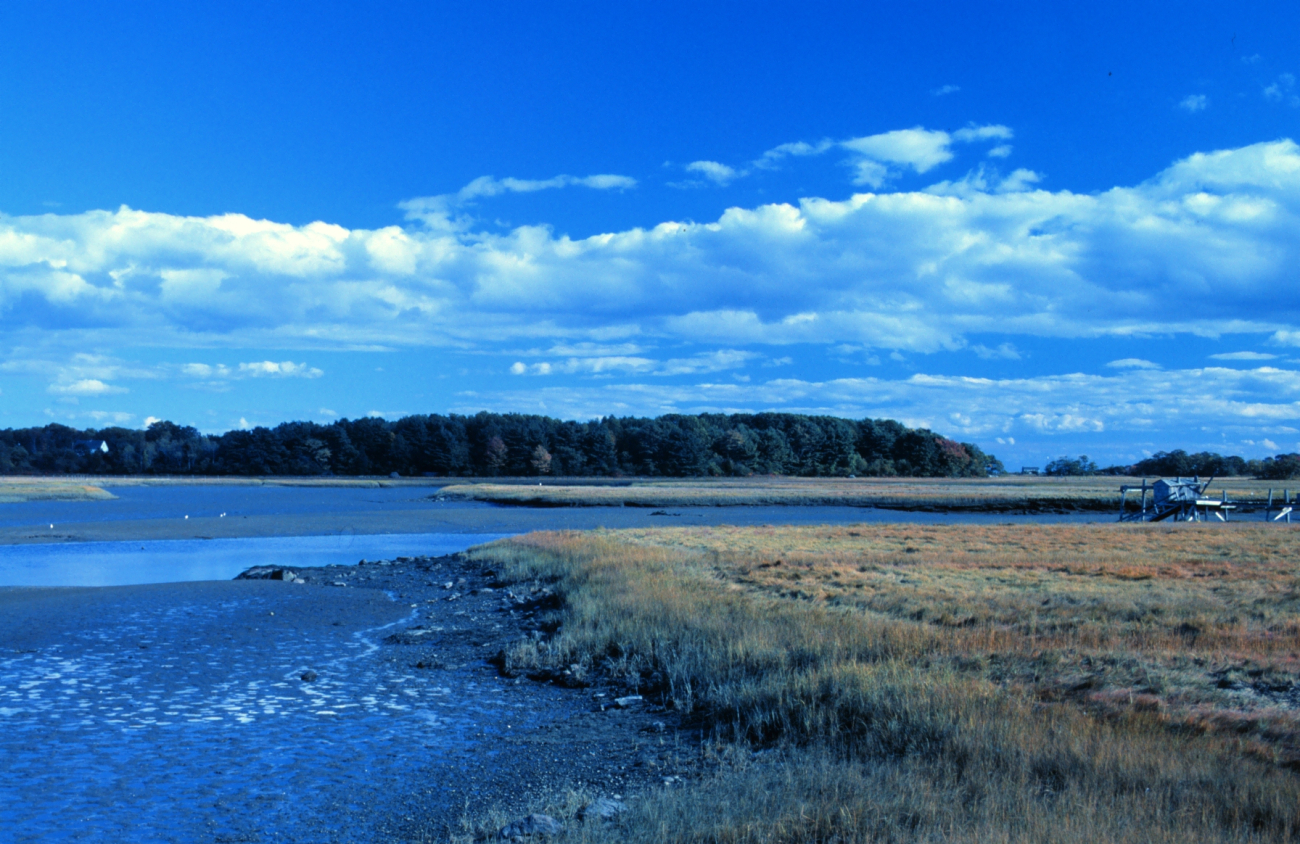 A view of wetlands at Great Bay National Estuarine Research Reserve (Image credit: Mr. Sean Linehan) A view of wetlands at Great Bay National Estuarine Research Reserve