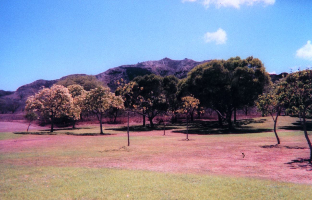 In the crater at Diamond Head State Park (Image credit: Michael Theberge) In the crater at Diamond Head State Park
