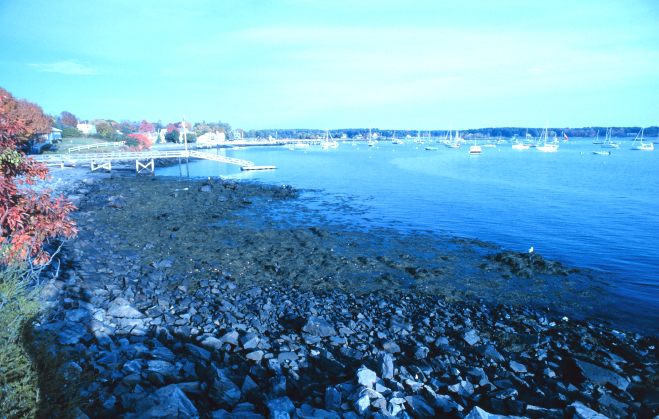 A view in the Portsmouth Harbor area (Image credit: Mr. Sean Linehan) A view in the Portsmouth Harbor area