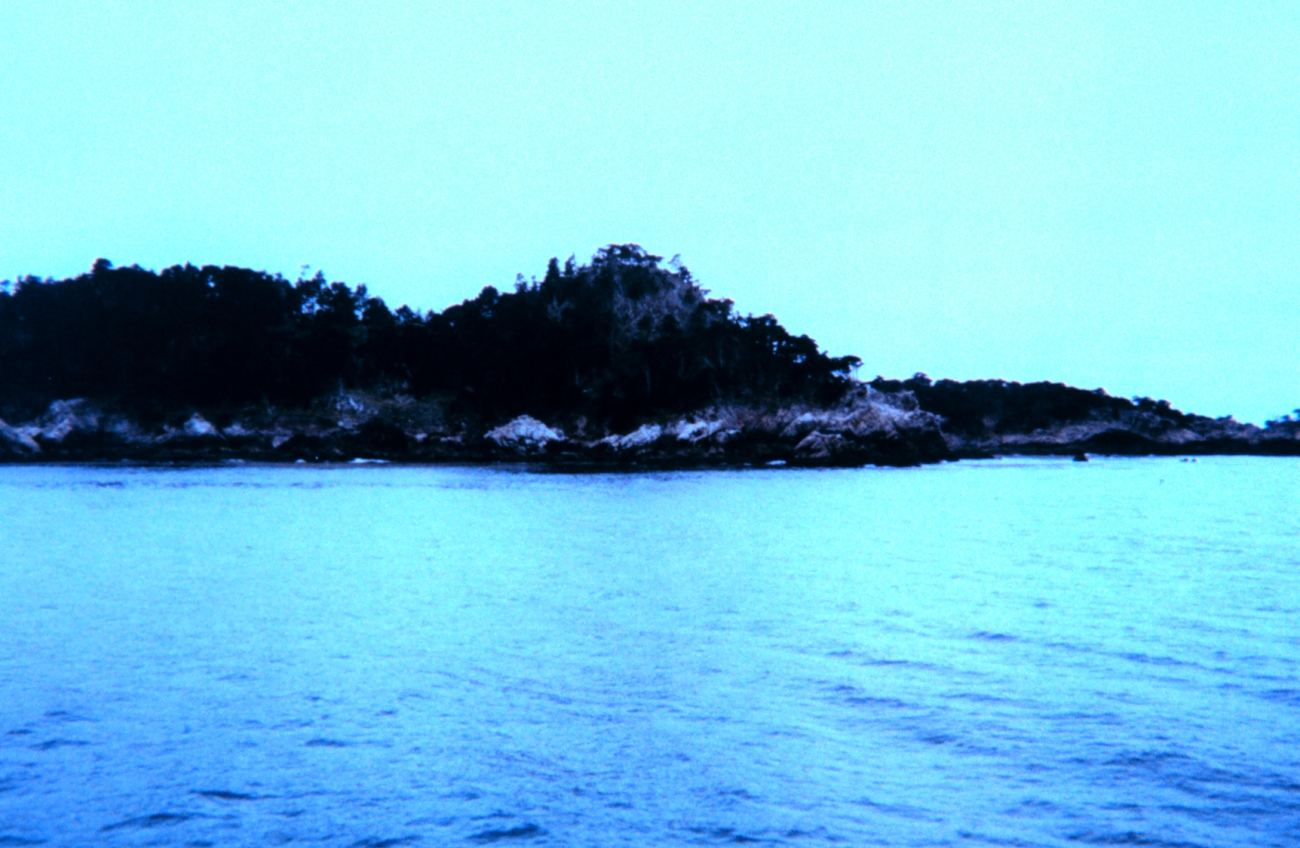 Portion of composite image of Point Lobos (Image credit: Michael Theberge) Portion of composite image of Point Lobos