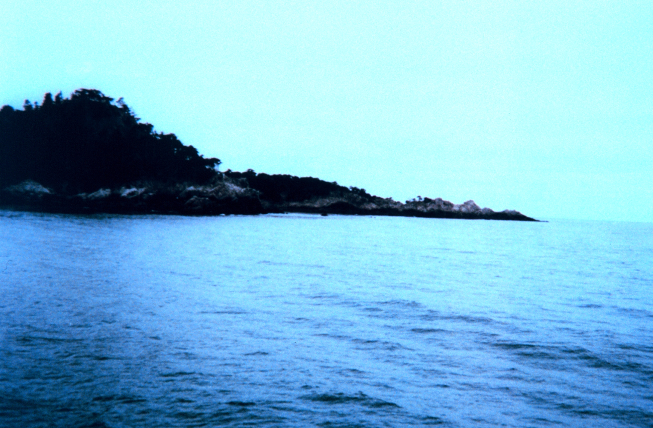 Portion of composite image of Point Lobos (Image credit: Michael Theberge) Portion of composite image of Point Lobos