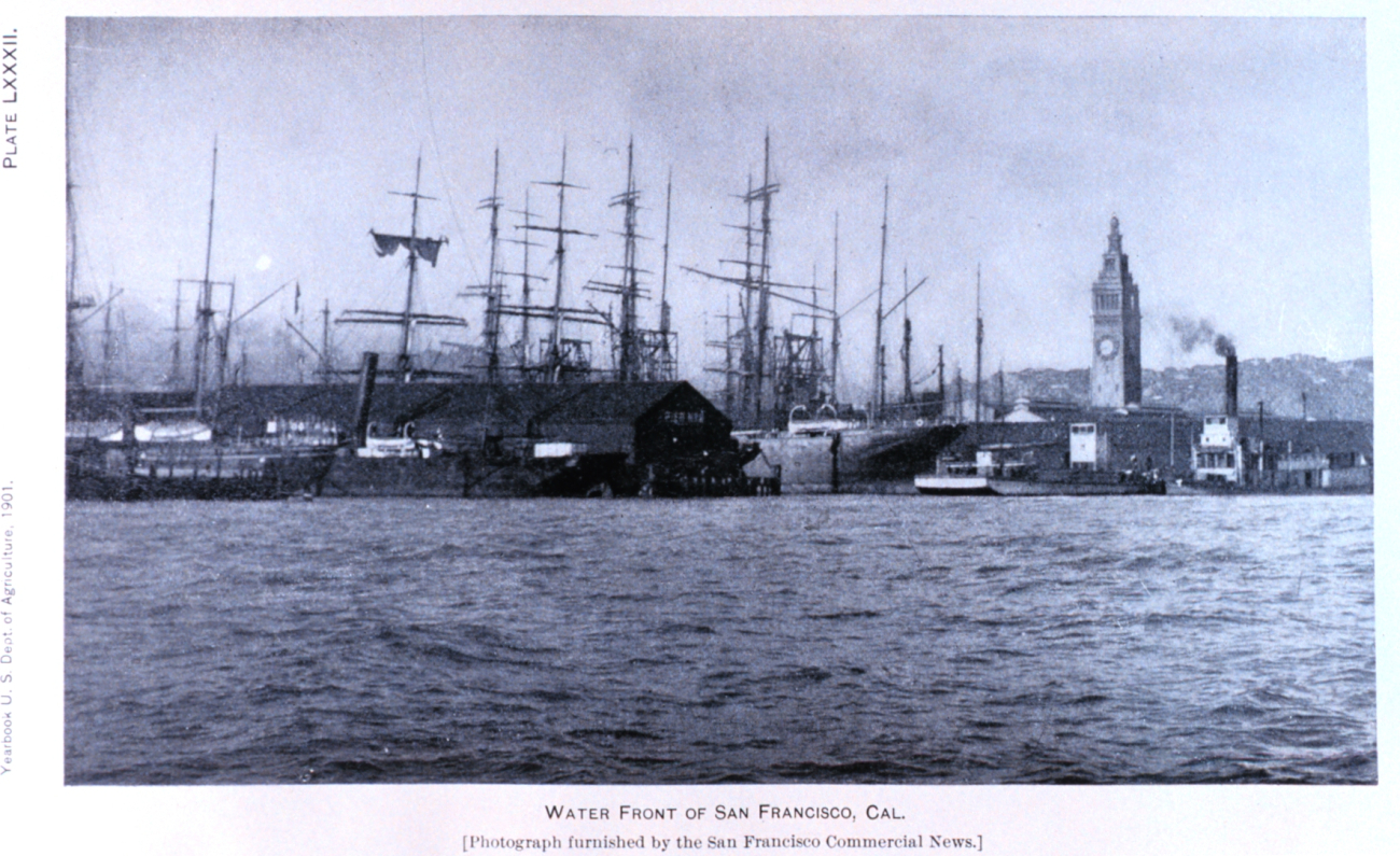 San Francisco waterfront as seen in: Wheat Ports of the Pacific Coast by Edwin S (Image credit: Archival Photograph by Sean Linehan) San Francisco waterfront as seen in: Wheat Ports of the Pacific Coast by Edwin S