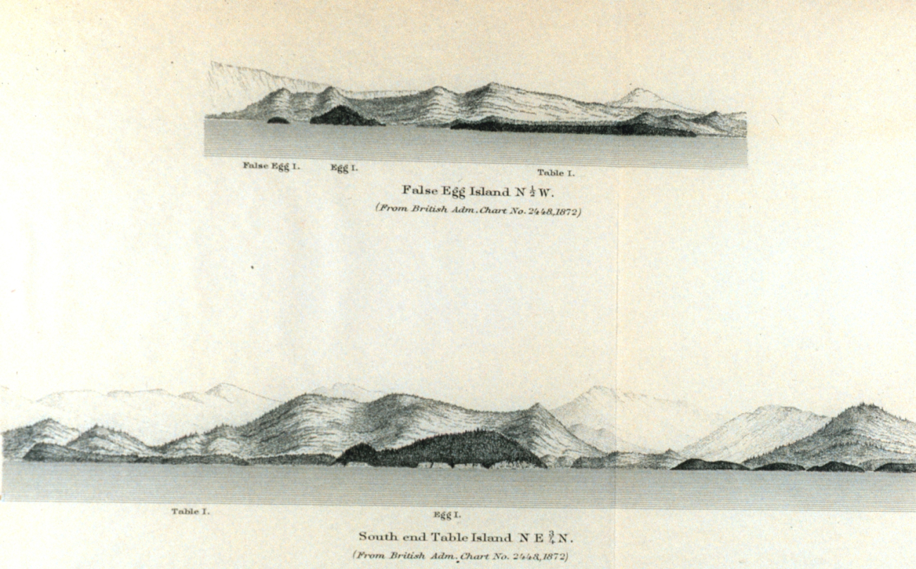False Egg Island (Image credit: Archival Photograph by Sean Linehan) False Egg Island