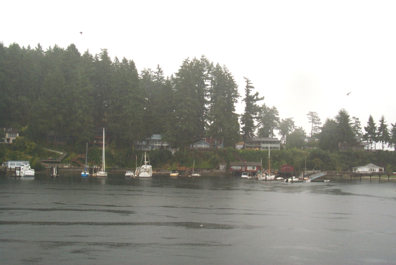 A rainy day at Gig Harbor (Image credit: Carol Baldwin) A rainy day at Gig Harbor