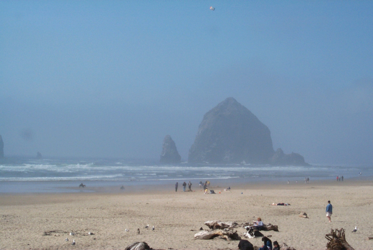 Haystack Rock at Cannon Beach on a misty day (Image credit: Carol Baldwin) Haystack Rock at Cannon Beach on a misty day