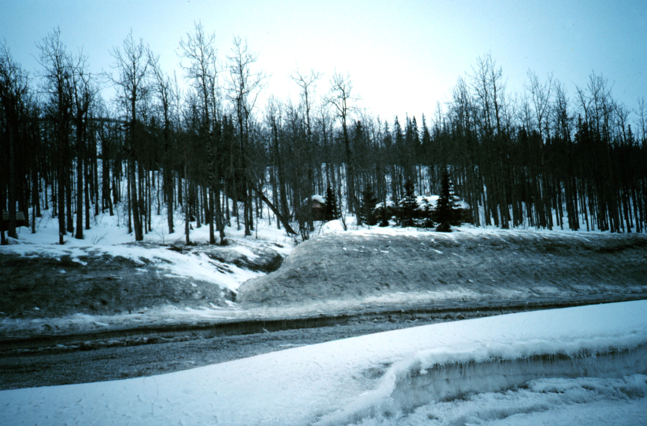A scene along the Seward Highway (Image credit: Rosalind Cohen) A scene along the Seward Highway
