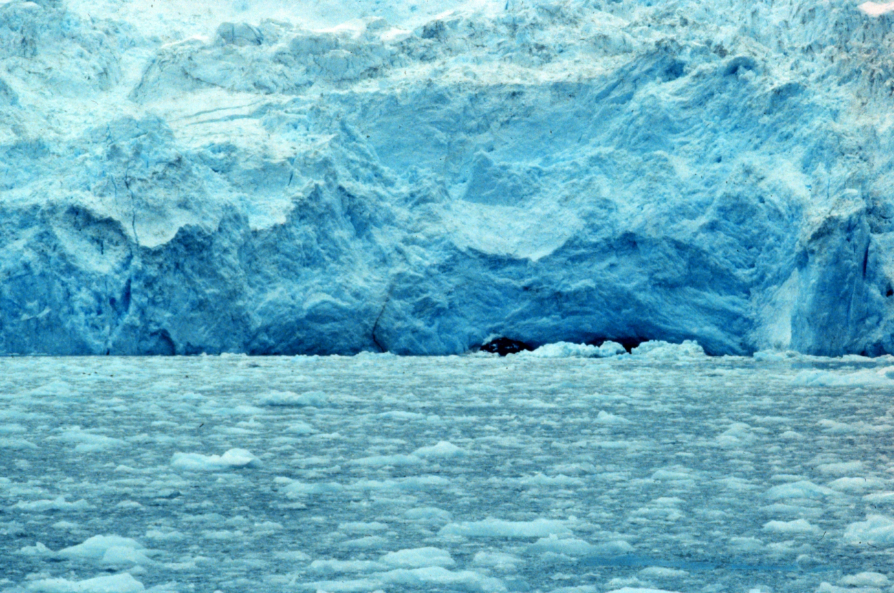 Front of glacier in Kenai Fjords (Image credit: Rosalind Cohen) Front of glacier in Kenai Fjords