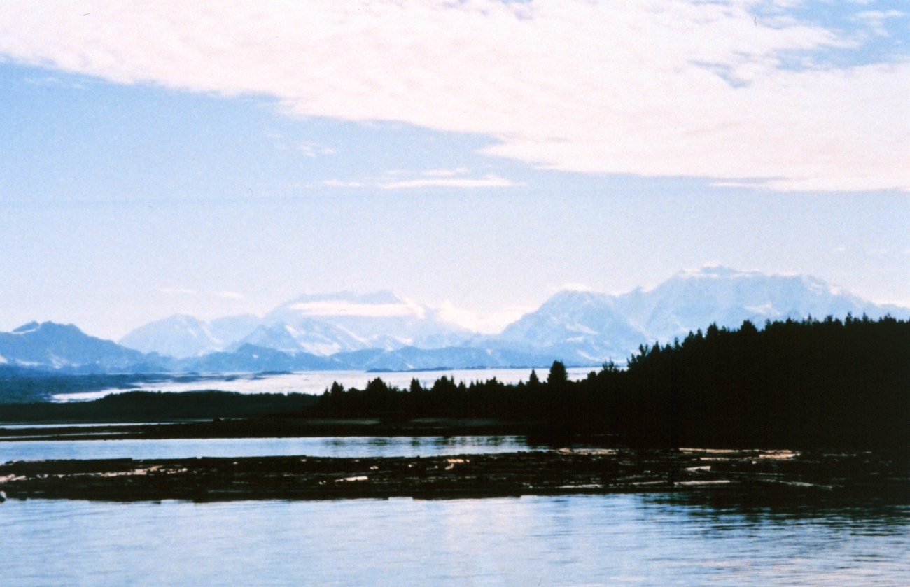 Log raft in Icy Bay area line1971.jpg Log raft in Icy Bay area