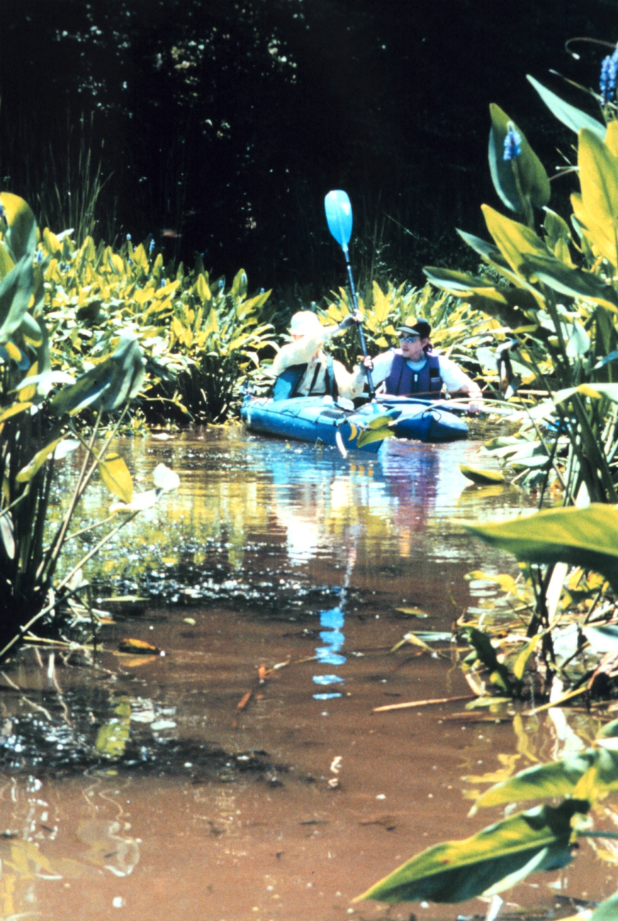 National Oceanographic Data Center employees up a creek - kayaking along thePatuxent River (Image credit: Mary Hollinger) National Oceanographic Data Center employees up a creek - kayaking along thePatuxent River
