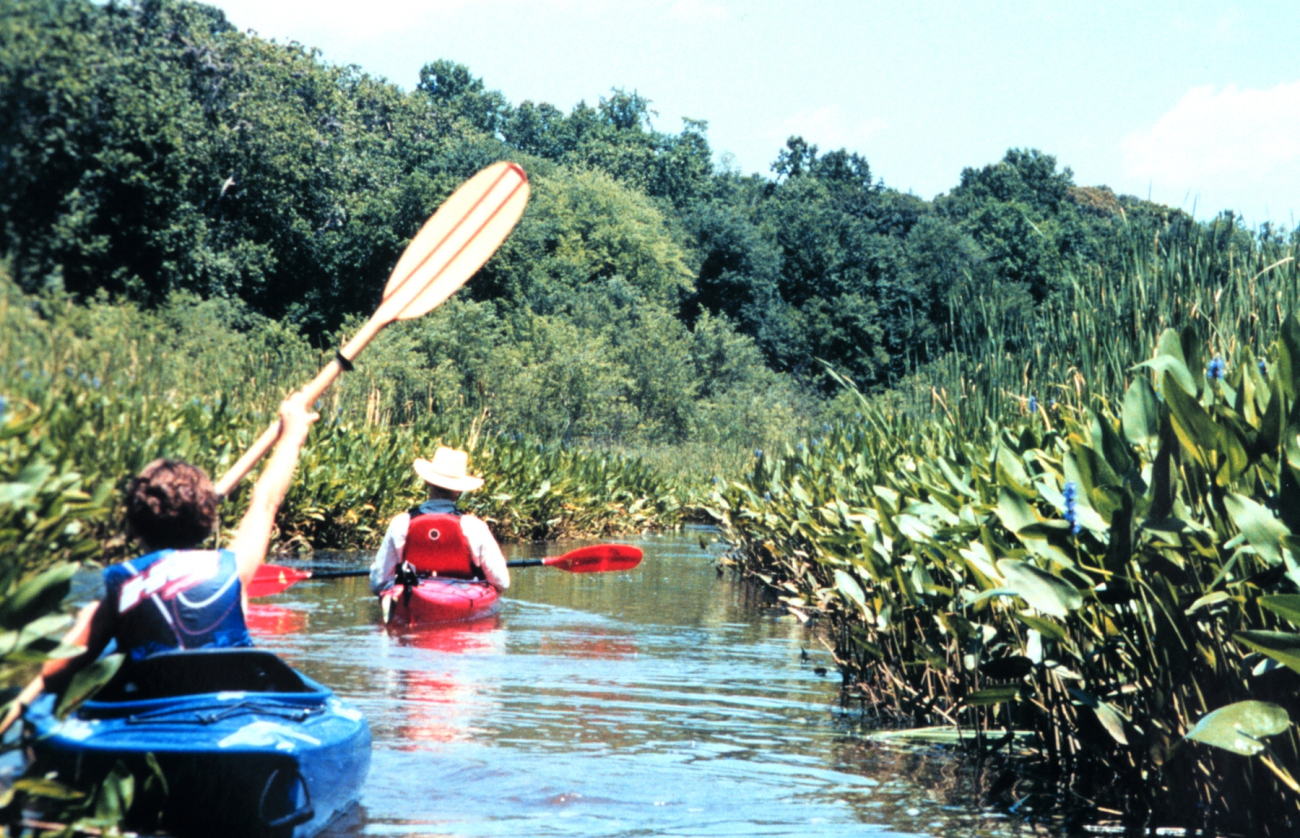 National Oceanographic Data Center employees up a creek - kayaking along thePatuxent River (Image credit: Mary Hollinger) National Oceanographic Data Center employees up a creek - kayaking along thePatuxent River