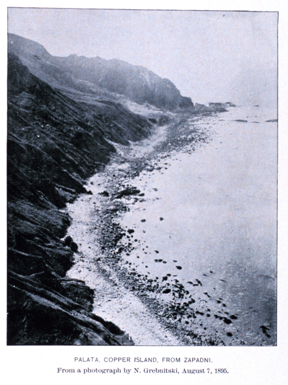 Palata fur seal rookery (Image credit: N. Grebnitski | Archival photograph by Mr. Steve Nicklas) Palata fur seal rookery
