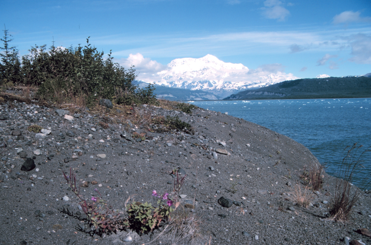 Photo #3 of Mount St (Image credit: Mr. David Sinson) Photo #3 of Mount St