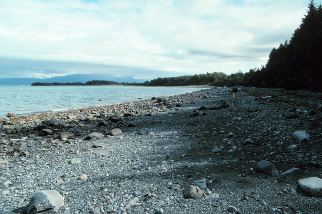 A beach of glacial debris in the Icy Bay area (Image credit: Mr. David Sinson) A beach of glacial debris in the Icy Bay area