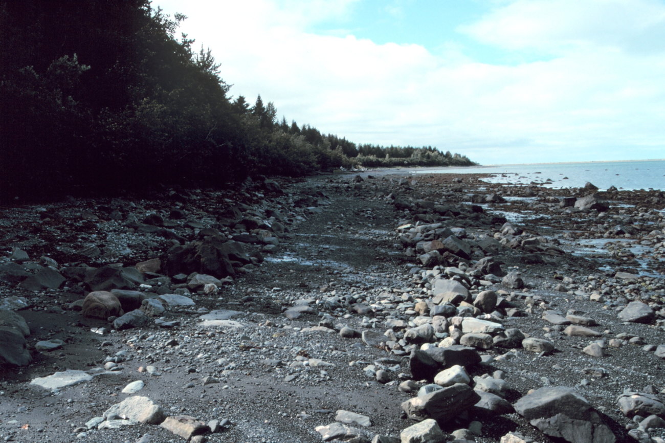 A beach of glacial debris in the Icy Bay area (Image credit: Mr. David Sinson) A beach of glacial debris in the Icy Bay area