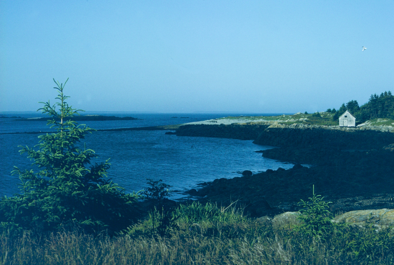 Near Coast Guard Base at Passamaquoddy Bay (Image credit: Commander George Leigh) Near Coast Guard Base at Passamaquoddy Bay