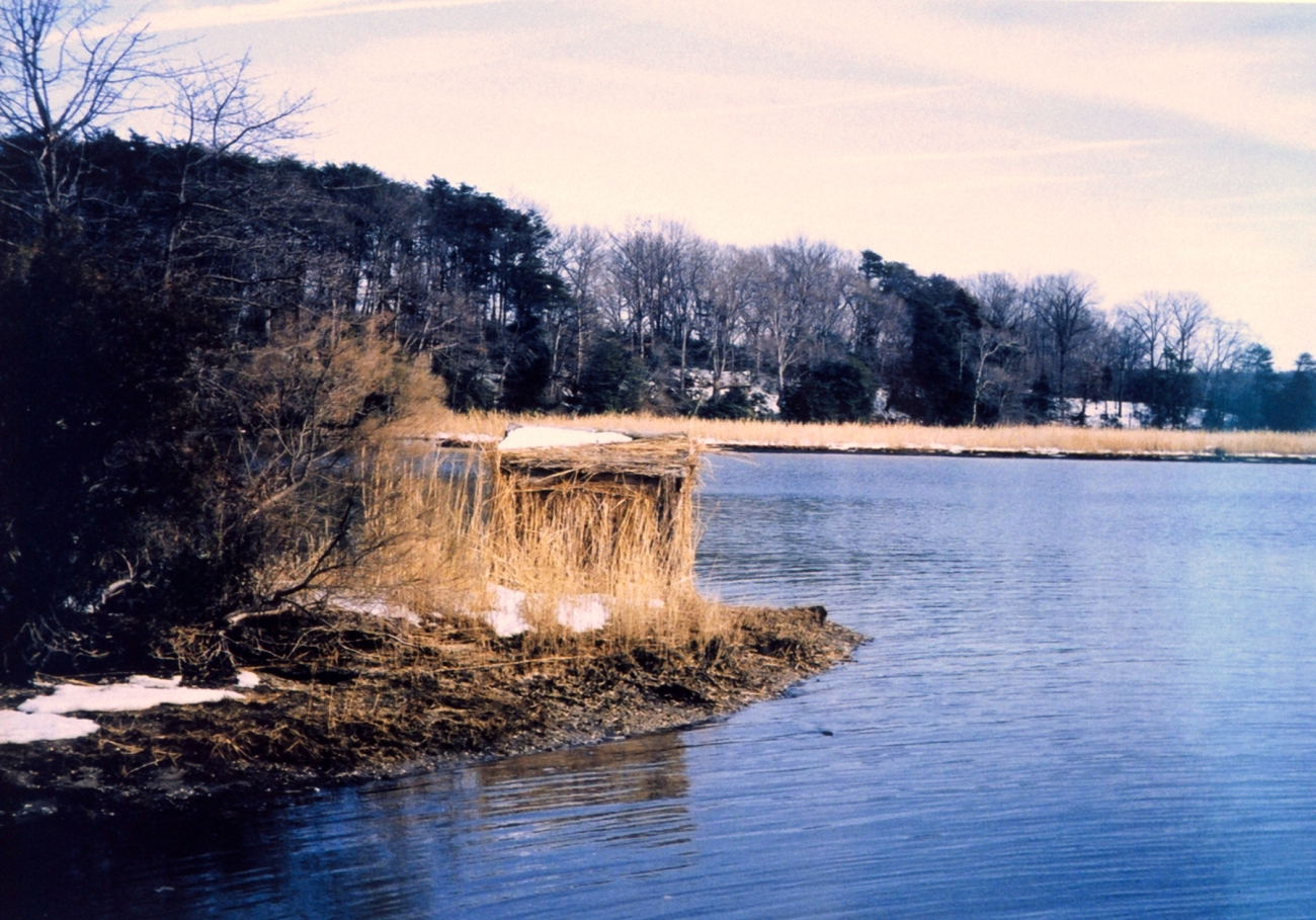 Patuxent River duck blind (Image credit: Mary Hollinger) Patuxent River duck blind
