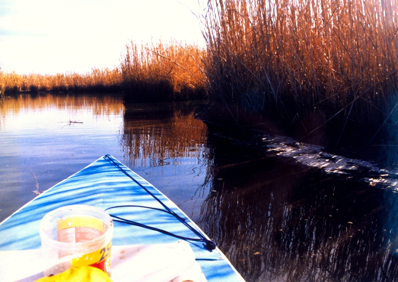 Paddling in a Patuxent marsh (Image credit: Mary Hollinger) Paddling in a Patuxent marsh