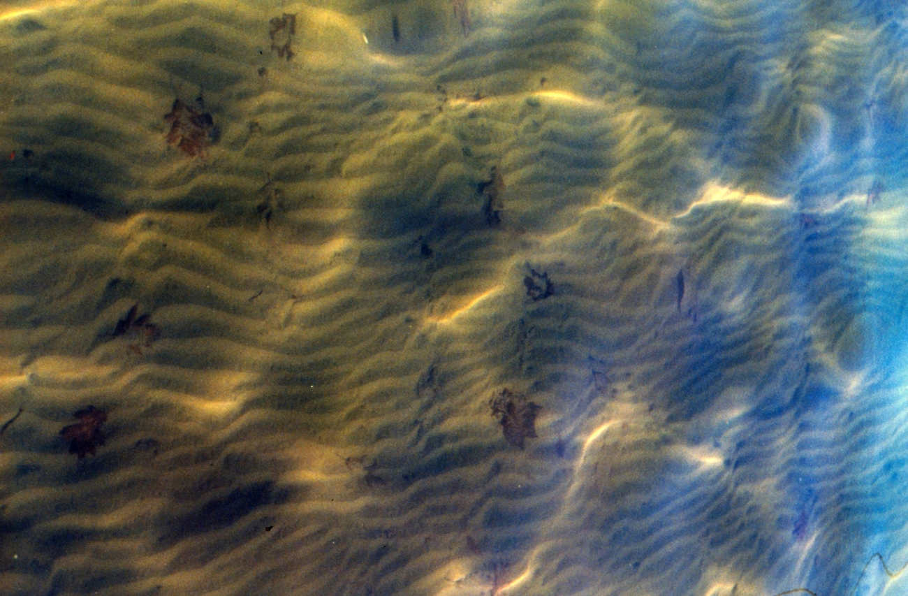 Ripples on the Patuxent River river bottom (Image credit: Mary Hollinger) Ripples on the Patuxent River river bottom