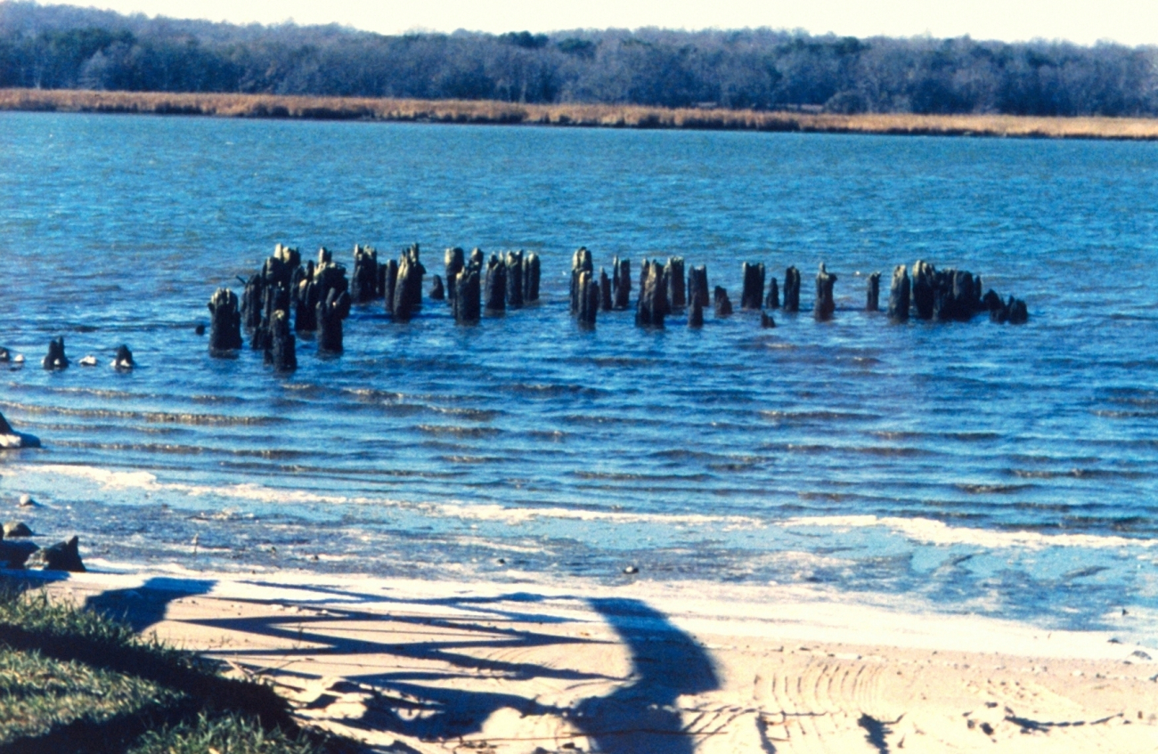 Pier pilings from the old Holland Cliffs Steamboat landing along the PatuxentRiver (Image credit: Mary Hollinger) Pier pilings from the old Holland Cliffs Steamboat landing along the PatuxentRiver
