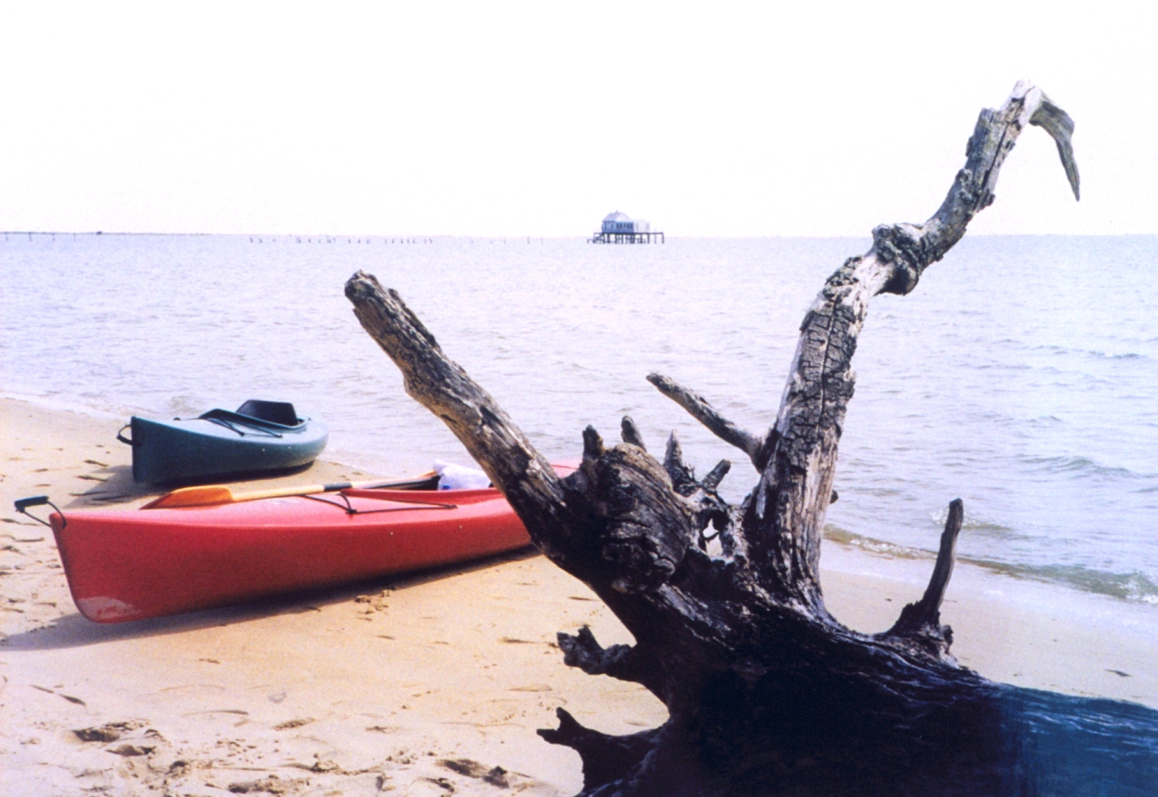 Kayaks on the beach at Chincoteague with a wonderful piece of driftwood (Image credit: Mary Hollinger) Kayaks on the beach at Chincoteague with a wonderful piece of driftwood