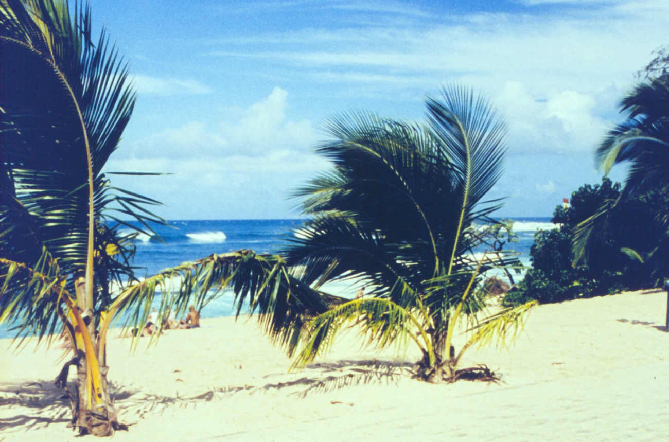 Sunset Beach on the North Shore line2404.jpg Sunset Beach on the North Shore