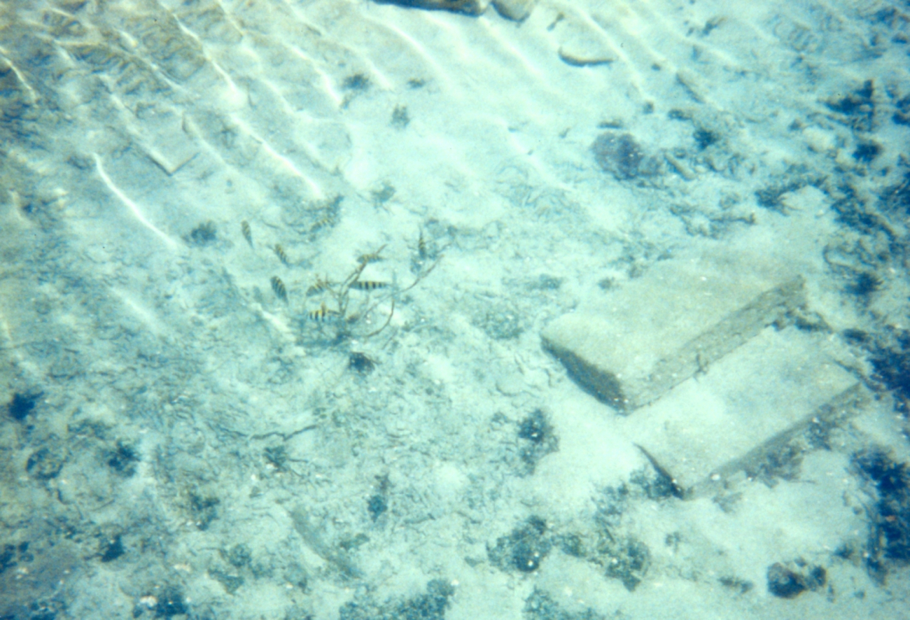 Sun reflections and sea life in the moat at Fort Jefferson (Image credit: Linda Pikula) Sun reflections and sea life in the moat at Fort Jefferson