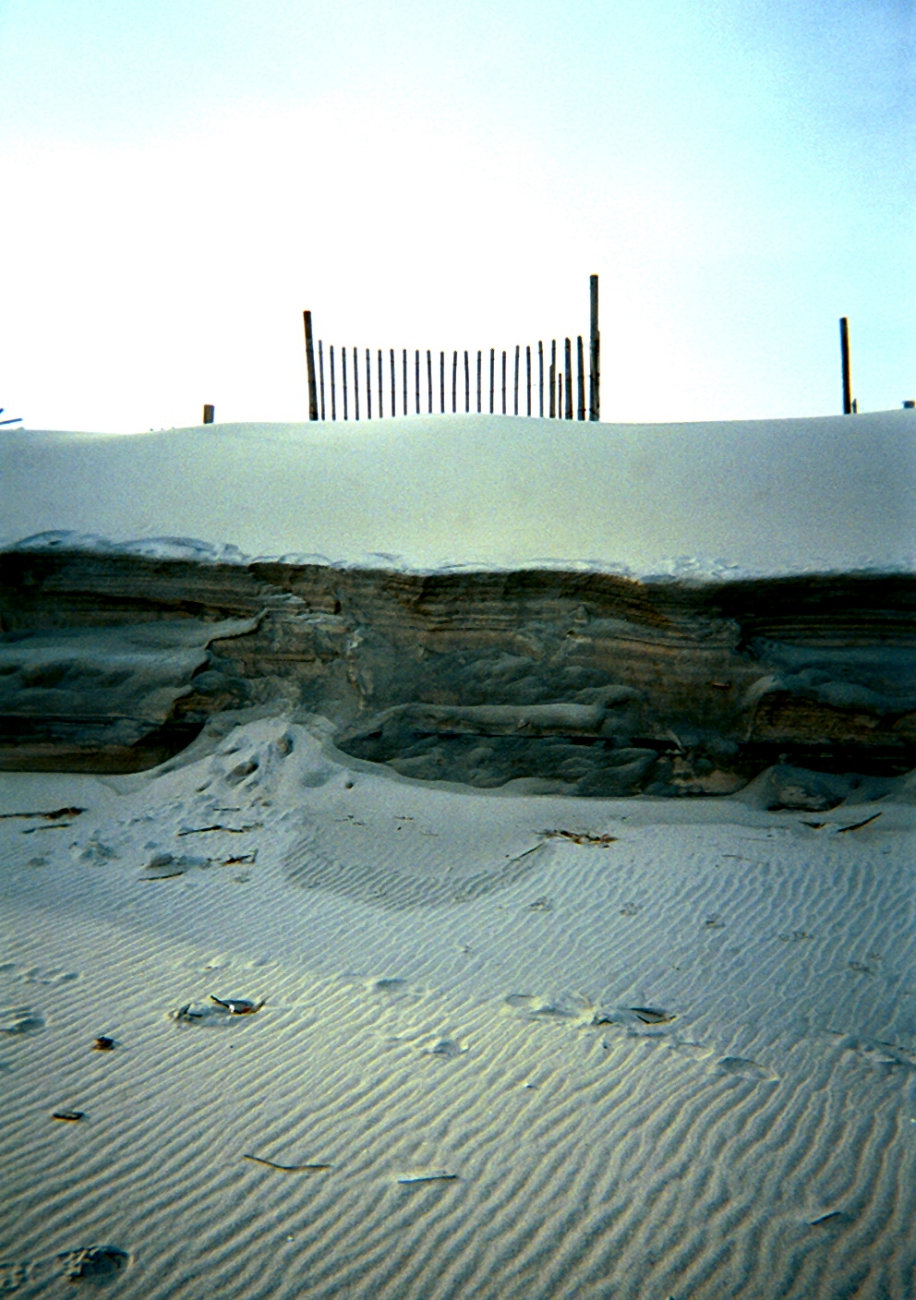 Horizontal sand laminations show along eroding dune (Image credit: Captain Albert E. Theberge) Horizontal sand laminations show along eroding dune