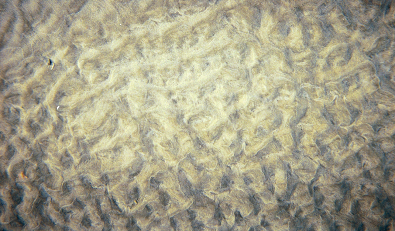 A beautiful ripple pattern in the tidal zone (Image credit: Captain Albert E. Theberge) A beautiful ripple pattern in the tidal zone