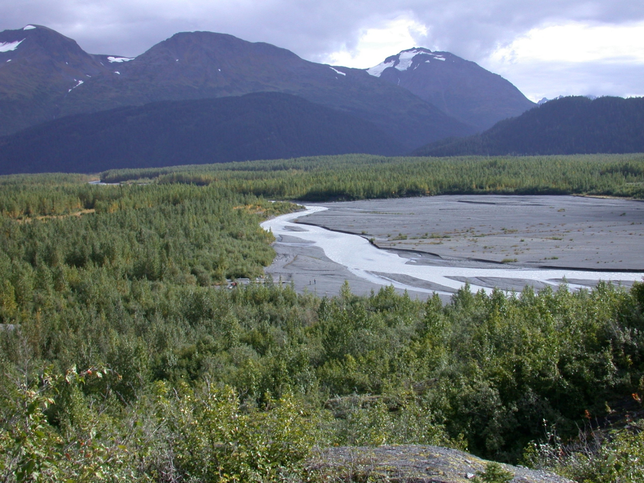 Moose Pass area between Seward and Anchorage (Image credit: Dr. Igor Smolyar) Moose Pass area between Seward and Anchorage