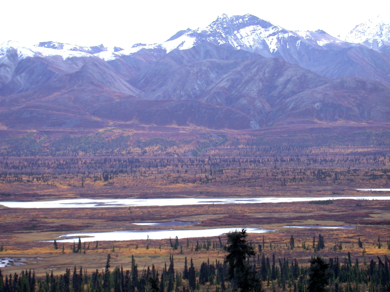 Part of the Alaska Range as seen from Alaska Highway 3 (Image credit: Dr. Igor Smolyar) Part of the Alaska Range as seen from Alaska Highway 3