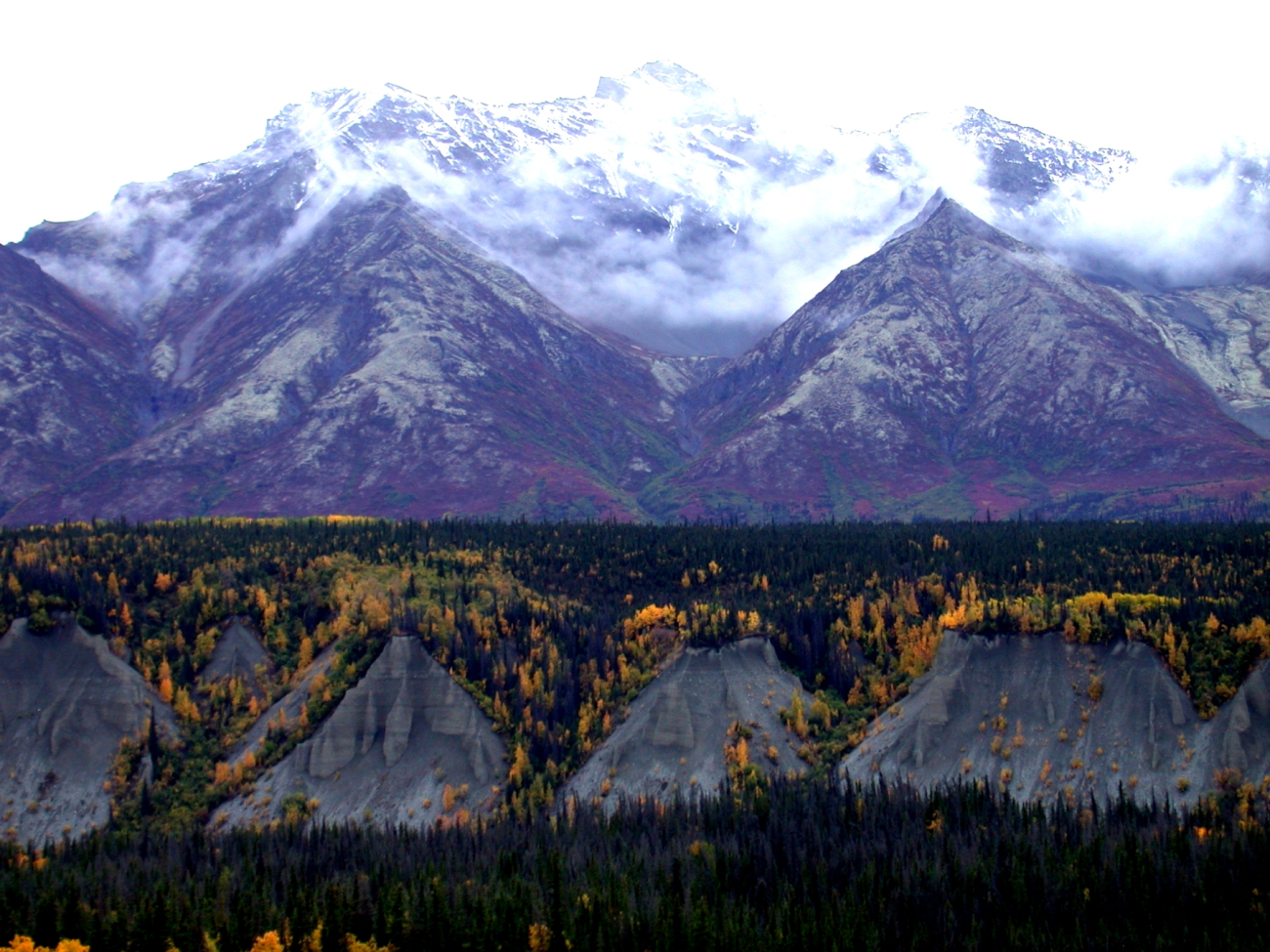 Remarkable fall colors