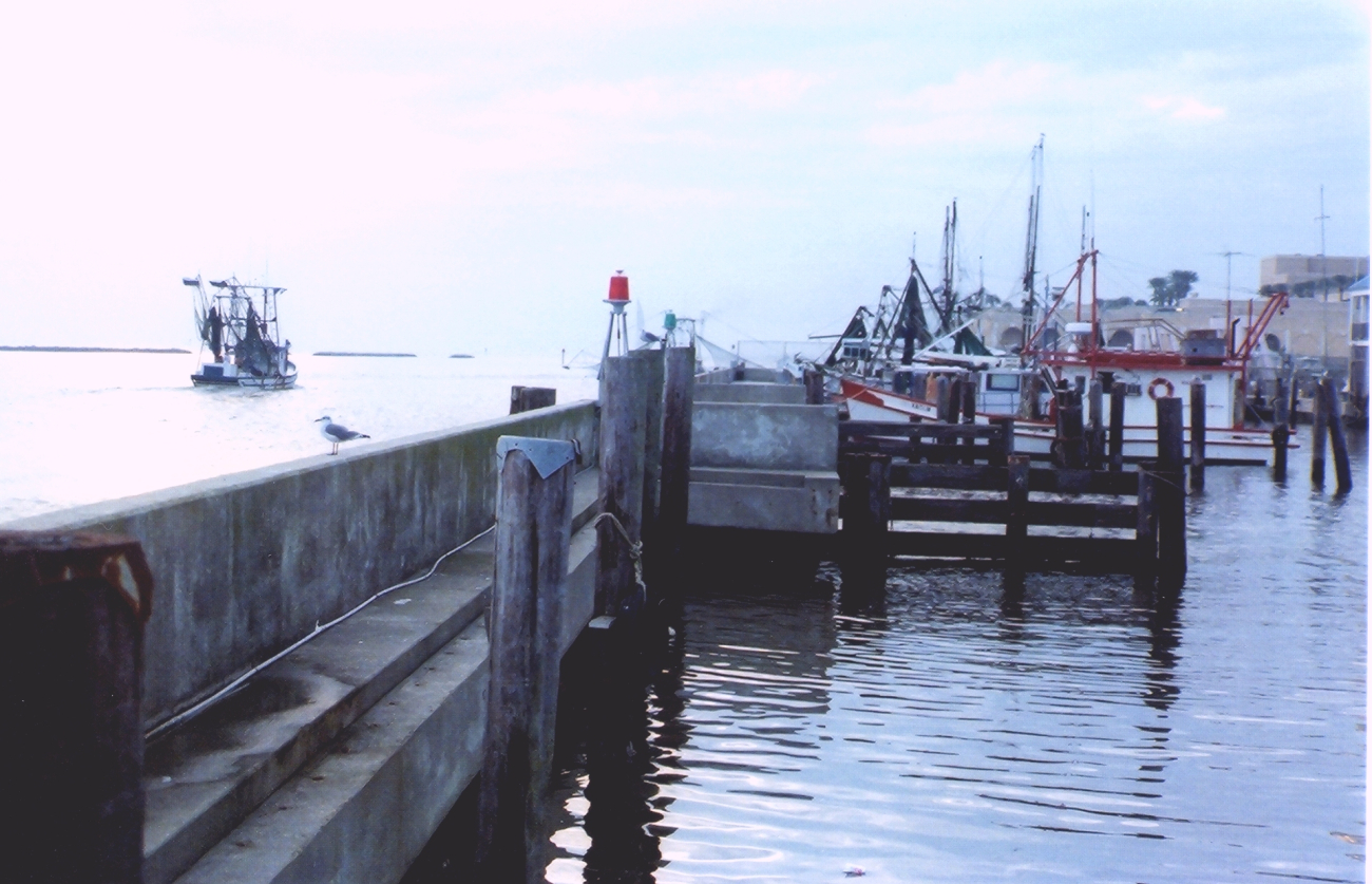 Shrimp boat docks (Image credit: Mary Hollinger) Shrimp boat docks