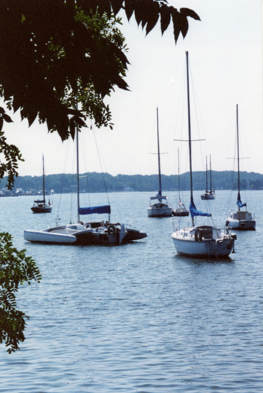 Sailboats moored in the West River (Image credit: Mary Hollinger) Sailboats moored in the West River